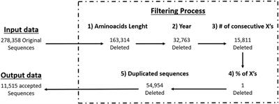 PdPANA: phagemid display as peptide array for neutralizing antibodies, an engineered in silico vaccine candidate against COVID-19